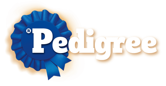 Pedigree — Adult Dry Dog Food